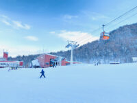 Sapporo Kokusai Ski Resort Travel Forum Reviews