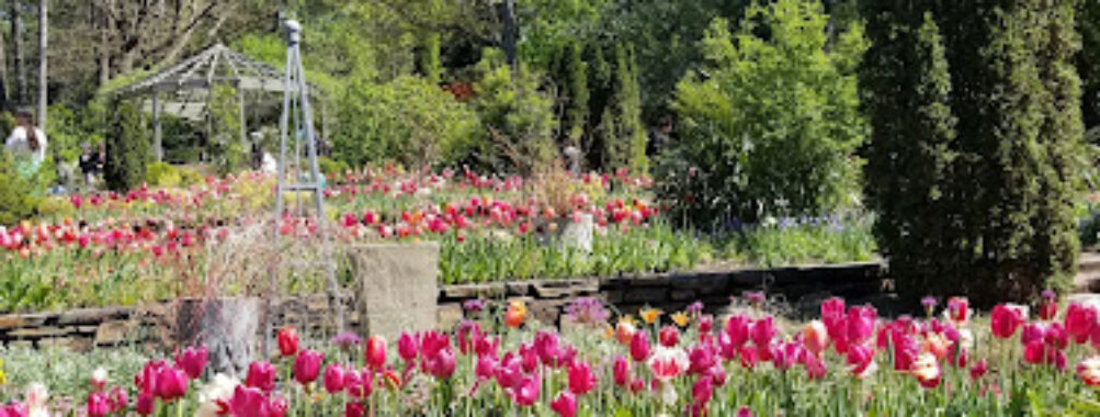 Sarah P. Duke Gardens Travel Forum Reviews