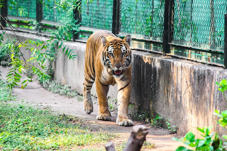 Sarthana Nature Park