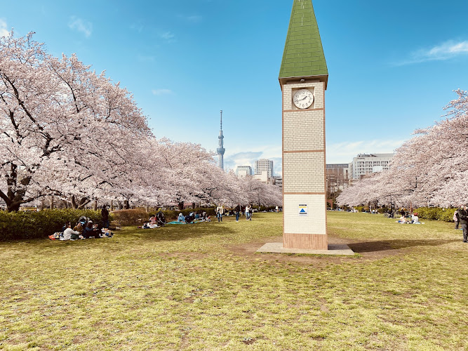 Sarue Park