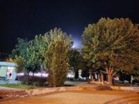 Sarve Park Travel Forum Reviews