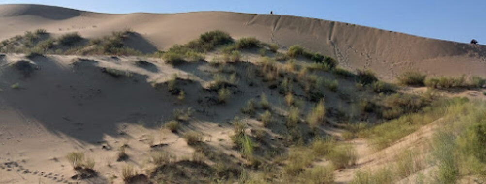 Sarykum Sand Dune Travel Forum Reviews