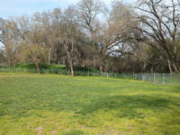 Saugstad Park Travel Forum Reviews