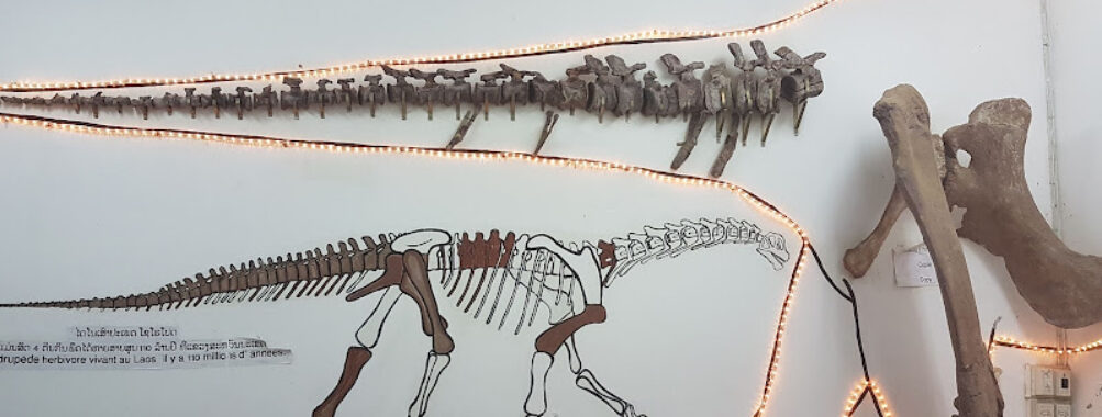 Savannakhet Dinosaur Museum Travel Forum Reviews