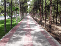 Saveh Forest Park Travel Forum Reviews