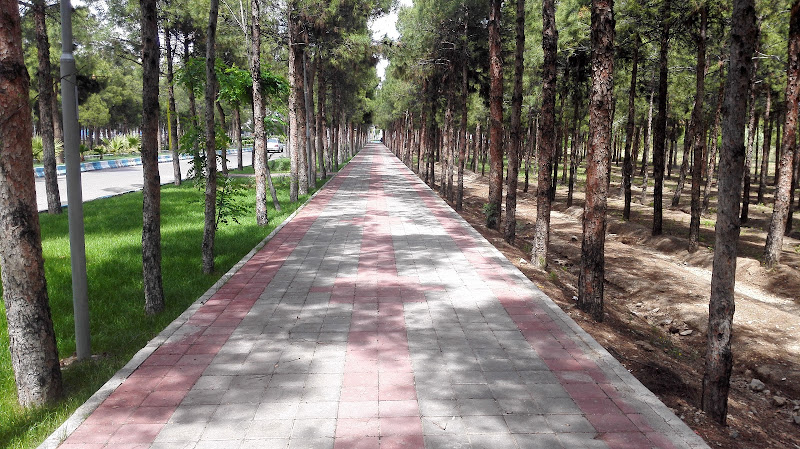 Saveh Forest Park