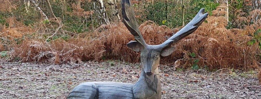 Savernake Park Travel Forum Reviews