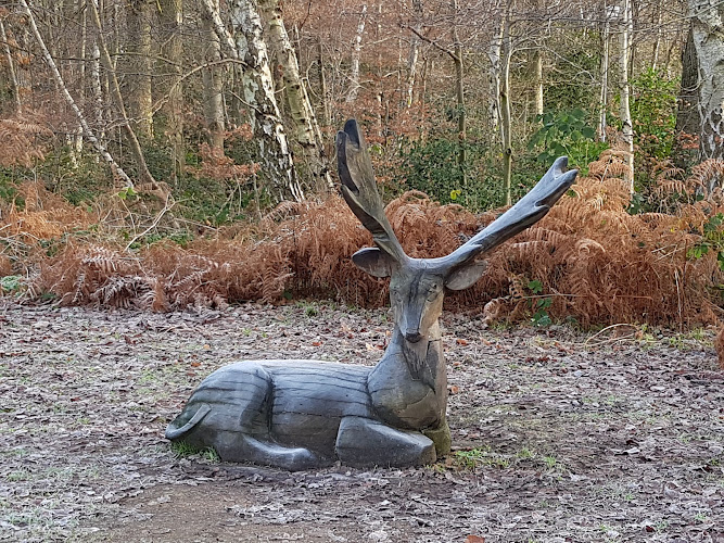 Savernake Park