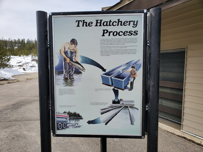 Sawtooth Main Fish Hatchery
