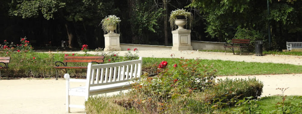 Saxon Garden Travel Forum Reviews