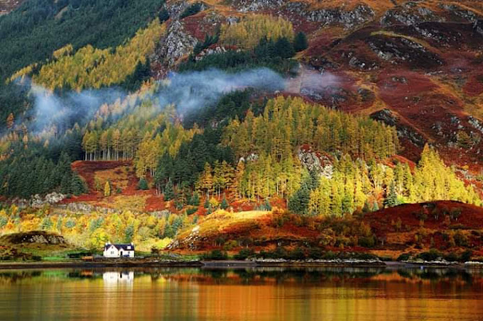 Colorful foliages in autumn at Saxon Switzerland National Park