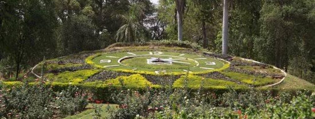 Sayaji Baug Zoo Travel Forum Reviews