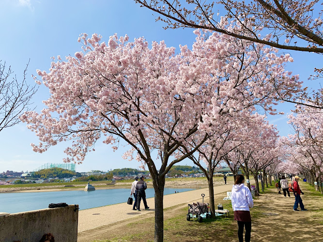 Sayama-ike Pond