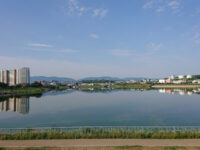 Sayamaike Park Travel Forum Reviews
