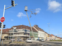 Schlange über Kreuzung Travel Forum Reviews