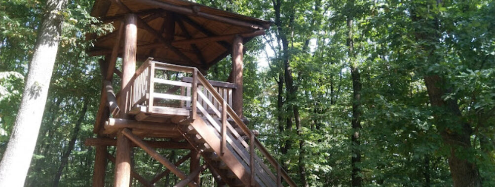 Schullerwald Travel Forum Reviews