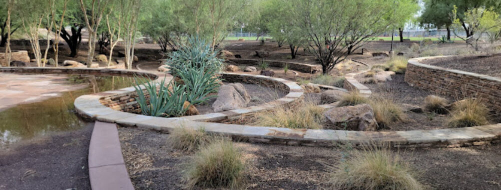 Scottsdale Xeriscape Garden Travel Forum Reviews