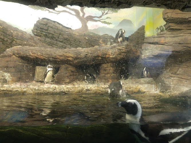 Sea Life Caverns