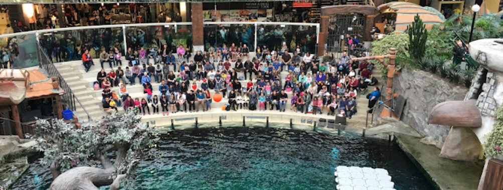 Sea Lions' Rock Travel Forum Reviews
