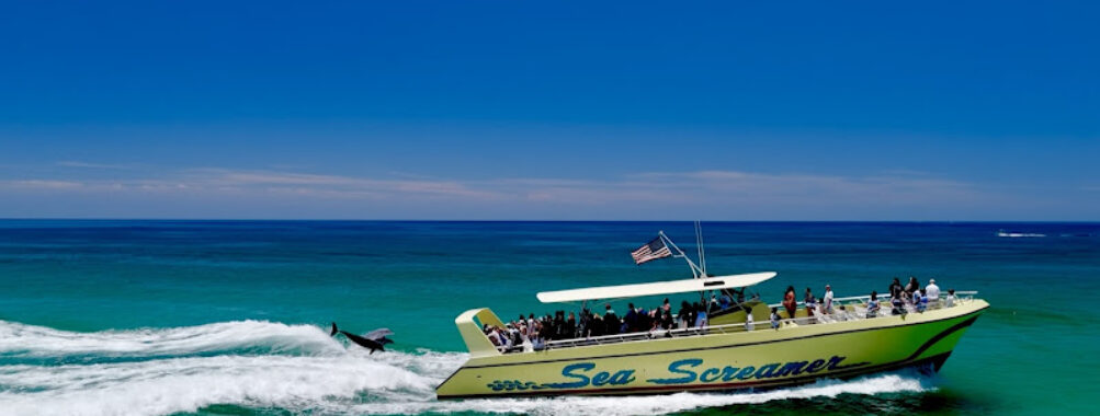 Sea Screamer Travel Forum Reviews