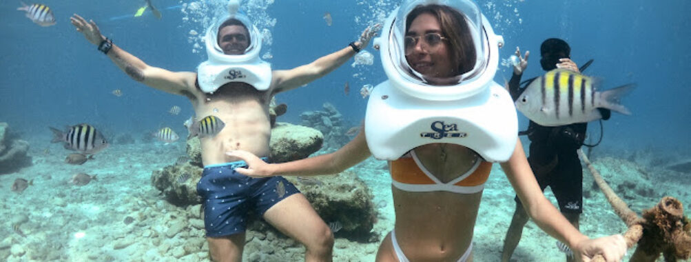 Sea Trek Cozumel Travel Forum Reviews