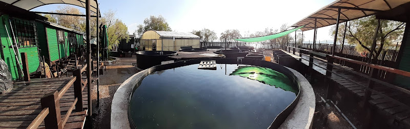 Sea Turtle Rescue Centre