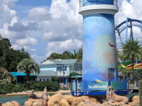 SeaWorld Orlando Travel Forum Reviews