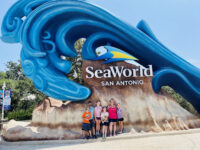 SeaWorld San Antonio Travel Forum Reviews