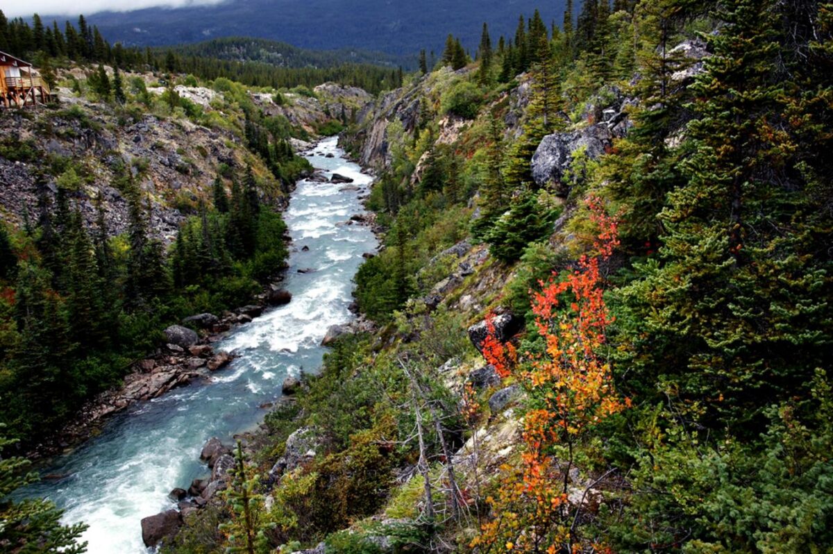 7-day Western Canada Rockies lodging tour Review