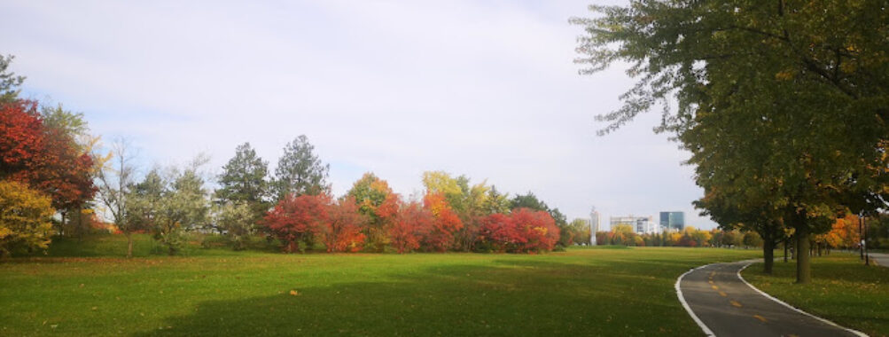 Seaway Park Travel Forum Reviews
