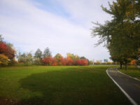 Seaway Park Travel Forum Reviews
