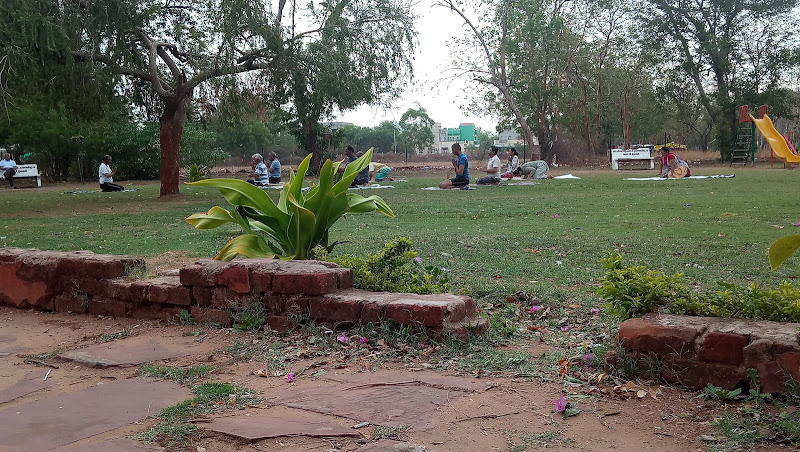 Sector 4 Park
