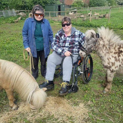 Sedgley Adventure Centre