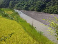 Sedzü river Travel Forum Reviews