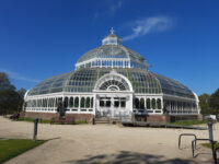 Sefton Park Palm House Travel Forum Reviews