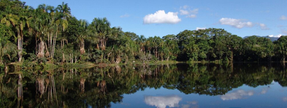 Selene Tours-Vuelos y Paquetes Turísticos en el Perú y el mundo Travel Forum Reviews