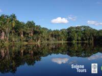 Selene Tours-Vuelos y Paquetes Turísticos en el Perú y el mundo Travel Forum Reviews