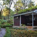 Selva Negra Ecolodge