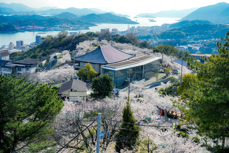 Senkoji Park