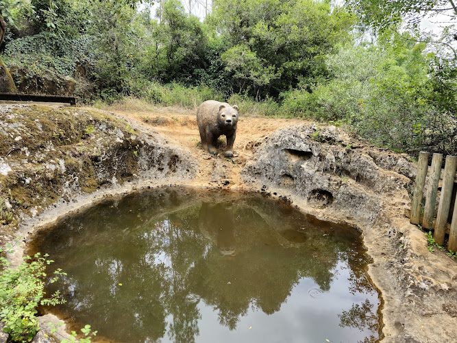 Sensory Ecopark of Pia do Urso