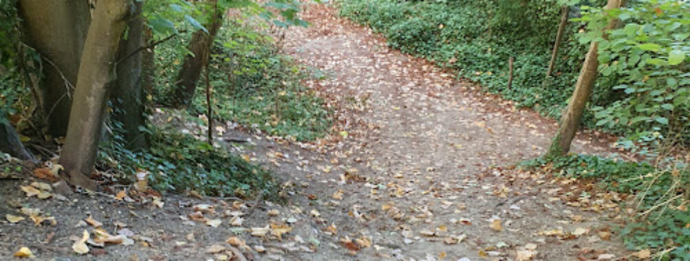Sentier de halage, Neuilly sur Marne Travel Forum Reviews