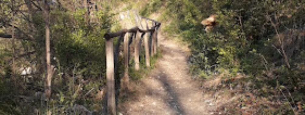 Sentiero dei Bregoli Casalecchio di Reno Travel Forum Reviews