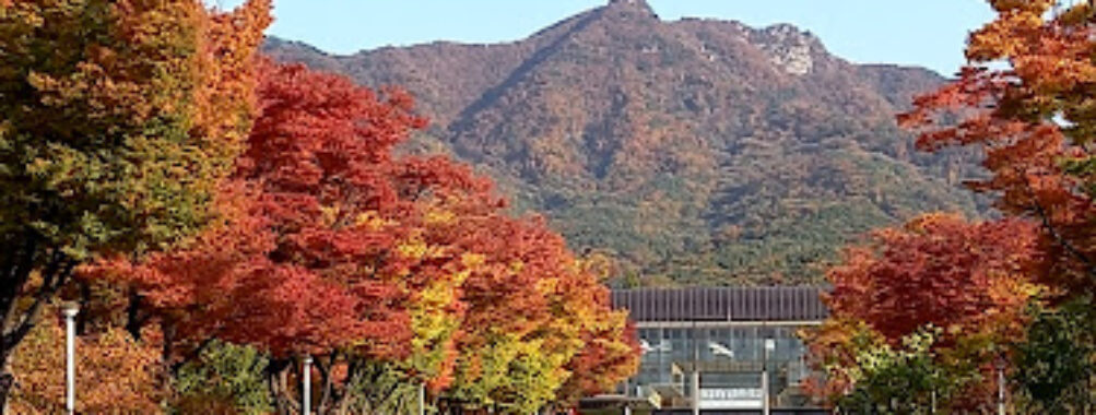 Seoul Grand Park Travel Forum Reviews