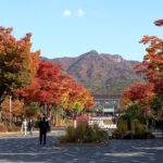 Seoul Grand Park Travel Forum Reviews