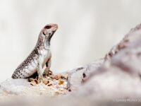 Serpentario de La Paz Travel Forum Reviews