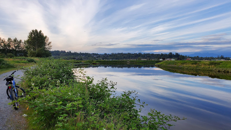 Serpentine Fen