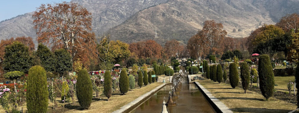 Shah Kashmir Arts Emporium Travel Forum Reviews