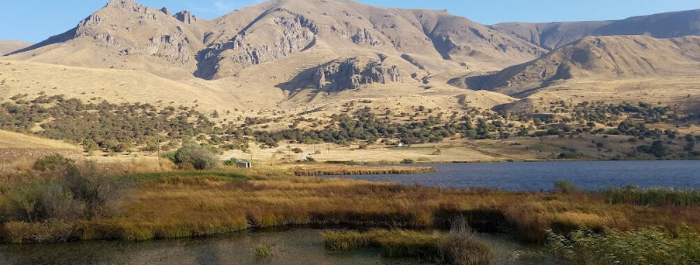 Shahbuz National Reserve Travel Forum Reviews