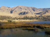 Shahbuz National Reserve Travel Forum Reviews