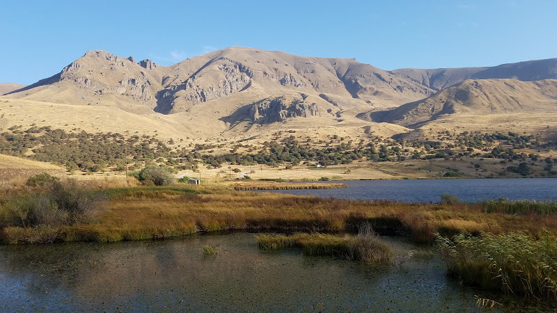 Shahbuz National Reserve